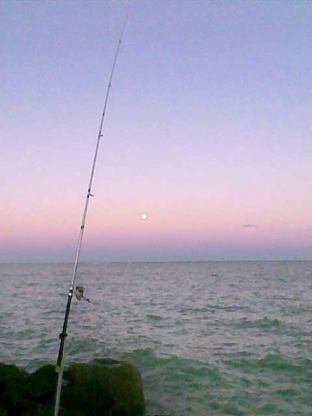 Saída da lua nos diques do Janga - PE II.