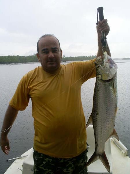 Tarpon 6 kg